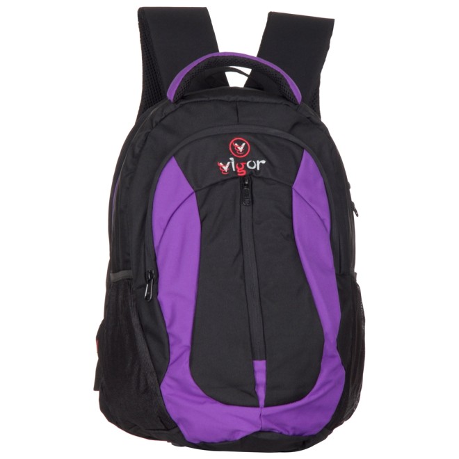 Medium 30 L Backpack M-27  (Purple, Black)